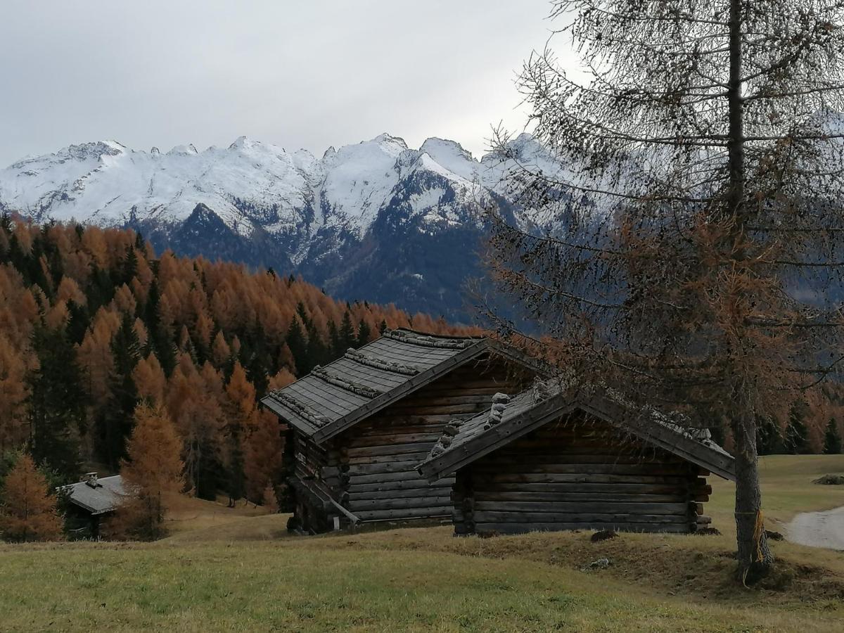 Dolomites B&B - Suites, Apartments And Spa Тезеро Экстерьер фото