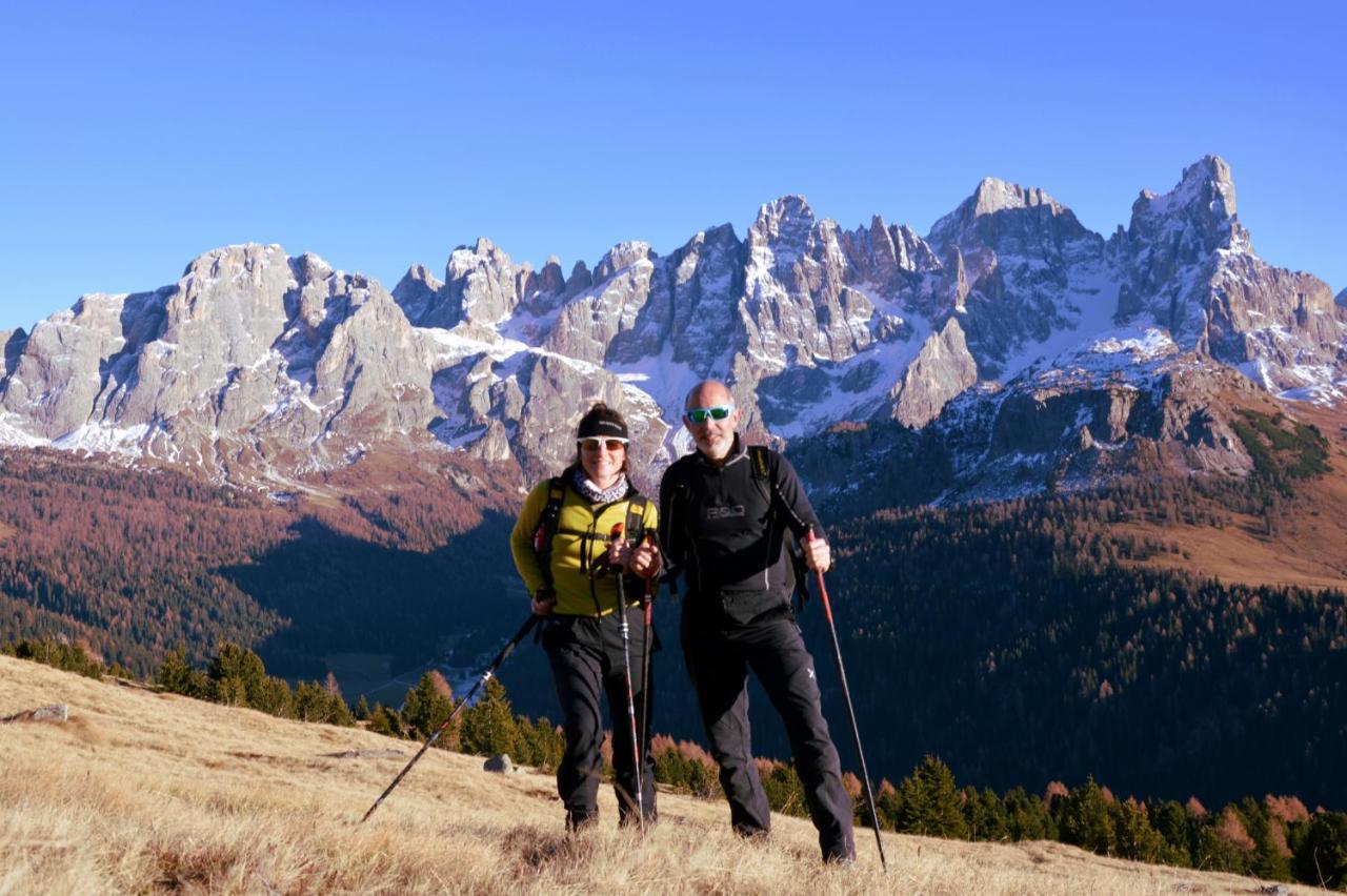 Dolomites B&B - Suites, Apartments And Spa Тезеро Экстерьер фото