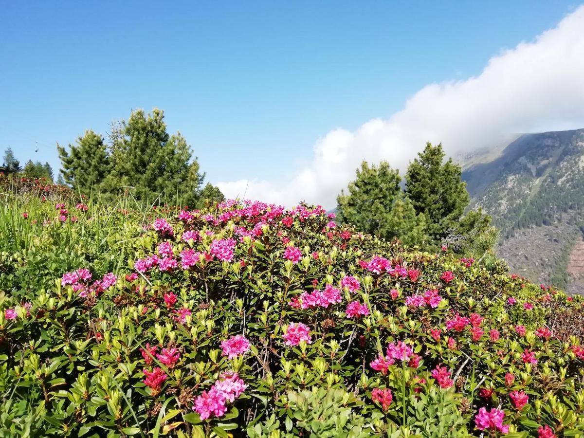Dolomites B&B - Suites, Apartments And Spa Тезеро Экстерьер фото